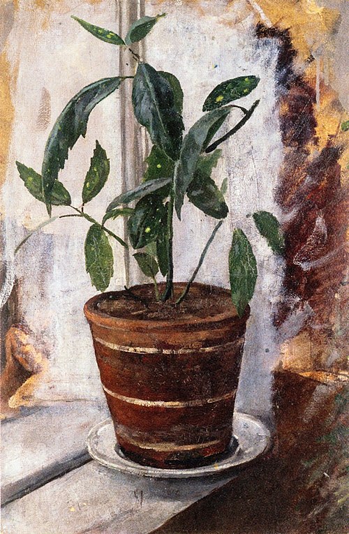 Plante en pot sur le rebord de la fenêtre, 1881, Edvard Munch