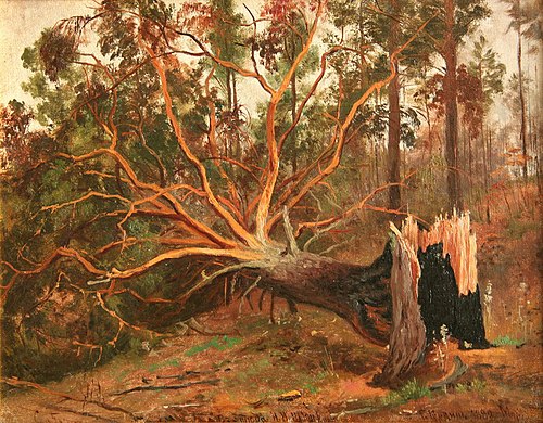 Broken pine, 1903, Grigory Gurkin