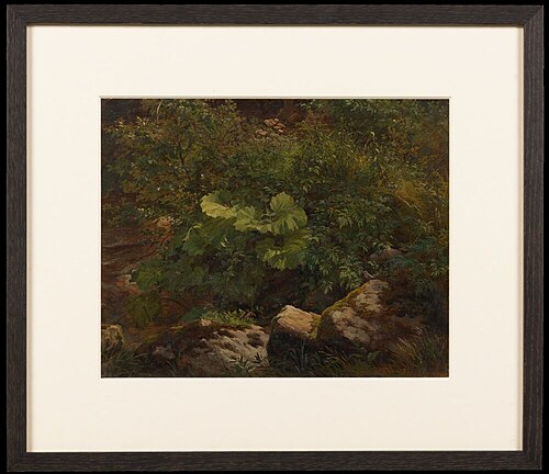 Plants. Study, 1845, Gustav Friedrich Papperitz