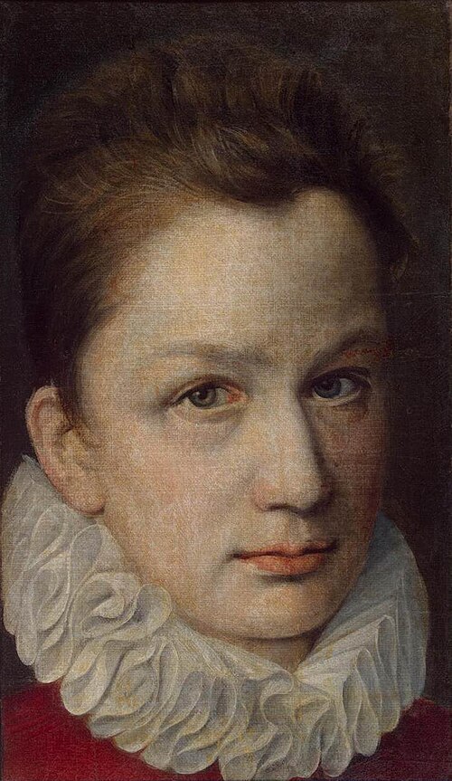 Portrait of a Youth, 1572, Pierre Dumonstier