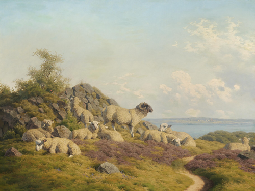 A group of sheep near Limfjorden., 1854, Carl Frederick Bartsch