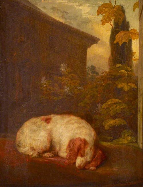 A Sleeping Spaniel called 'Belle', 1803, Thomas Phillips