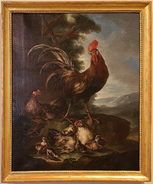 animali da cortile, gallo, due galline e sette pulcini, 1617, Angelo Maria Crivelli