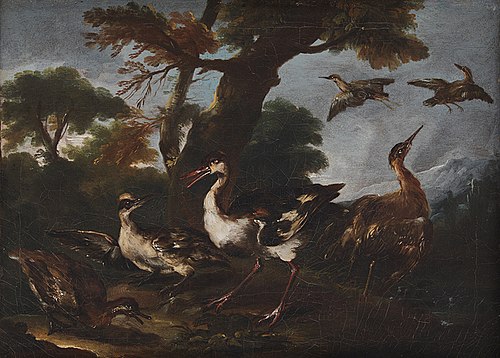 Landscape with Birds, 1697, Angelo Maria Crivelli