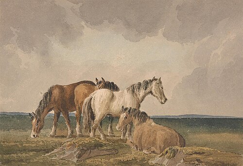 Four Ponies on a Welsh Moor, , Thomas Creswick