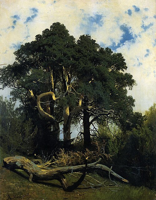 Paysage, , Arseni Mechtcherski