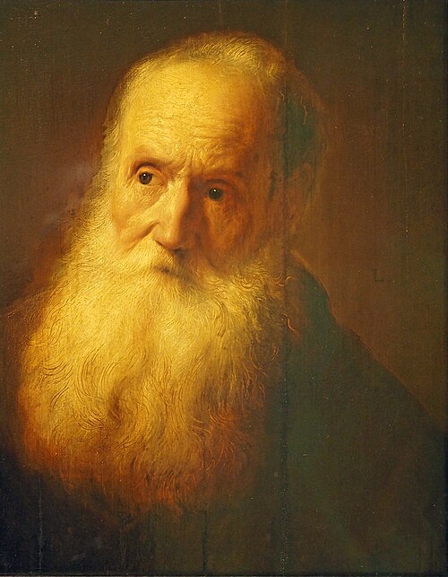 Bust of a bearded grey-haired man, 1629, Jan Lievens