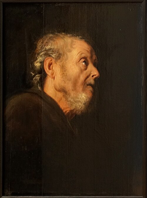 Tête de vieillard, 1700, Jan Lievens