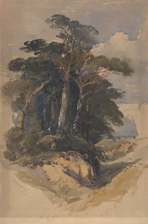 Pines on Hampstead Heath, 1842, William James Müller