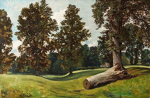 Forest Scene with Fallen Trunk, 1840, William James Müller