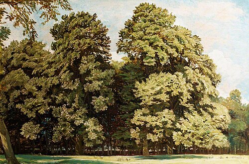 Forest Scene, 1840, William James Müller