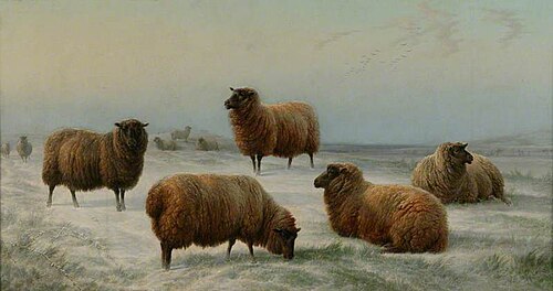 Sheep in Snow, 1876, Charles Jones