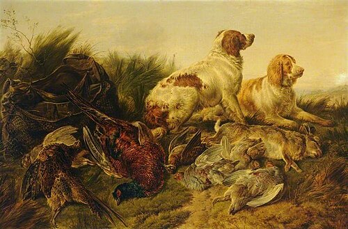 Hunting Dogs and Pheasants, , Charles Jones