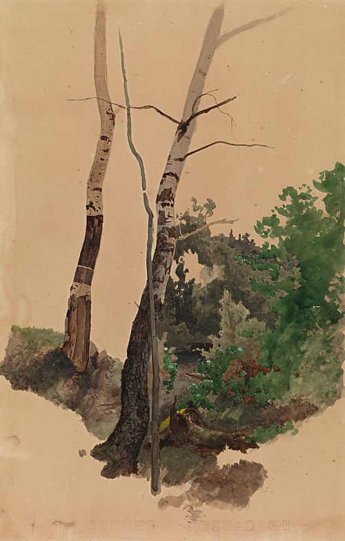 Kaksi paljasta koivunrunkoa ja pensaita, 1859, Werner Holmberg