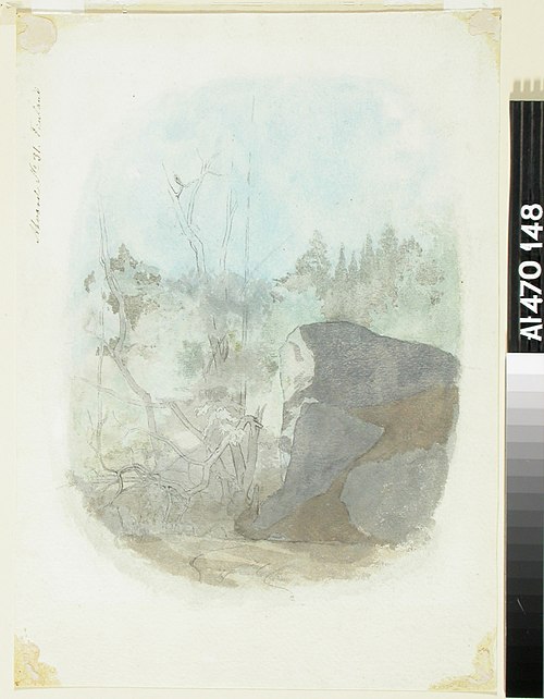 Metsänsisusta ja harjoitelma puiden rungoista ; Metsänsisusta, edessä oikealla iso kivi (kaksipuolin, 1859, Werner Holmberg