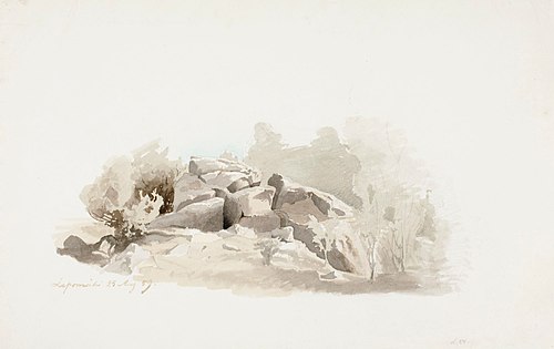 Rikkonainen kallionkieleke pensaitten ympäröimänä, 1859, Werner Holmberg