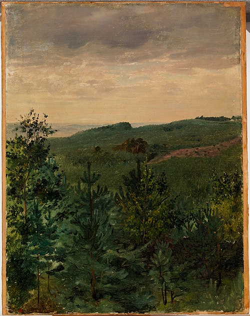 Spruce Saplings in Sandy Soil, Study, 1854, Werner Holmberg