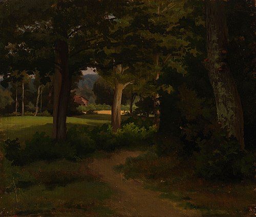 Metsäpolku, maisemaharjoitelma, , Werner Holmberg