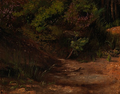 Hiekkamaata, harjoitelma, 1854, Werner Holmberg