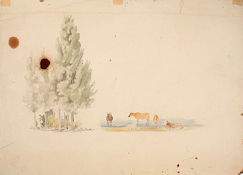 Kaksi harjoitelmaa: Puuryhmä sekä viisi lehmää rannalla, 1850, Werner Holmberg