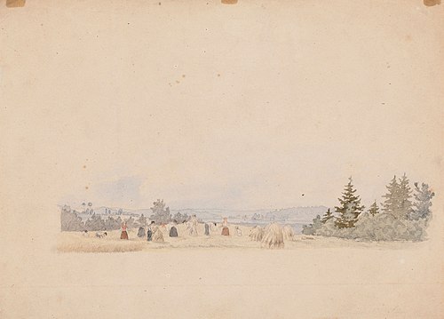 Elonkorjuu, harjoitelma Akaasta, 1854, Werner Holmberg
