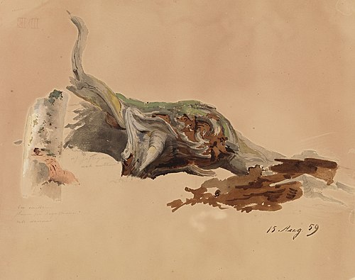 Kaksi puunrunkotutkielmaa ; Istuva nainen metsä taustanaan (kaksipuolinen teos), 1859, Werner Holmberg