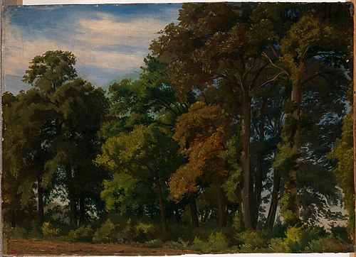 Landscape in Germany, Study, , Werner Holmberg