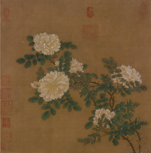 White Rose, 1203, Ma Yuan