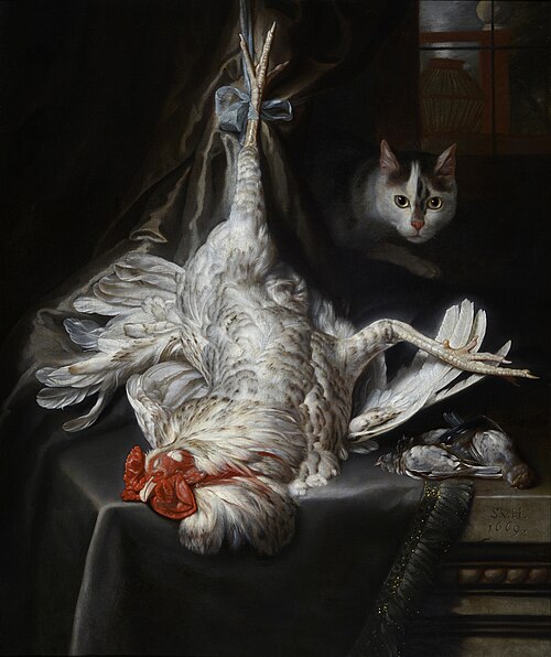 Bird still-life with cat, 1669, Samuel van Hoogstraten