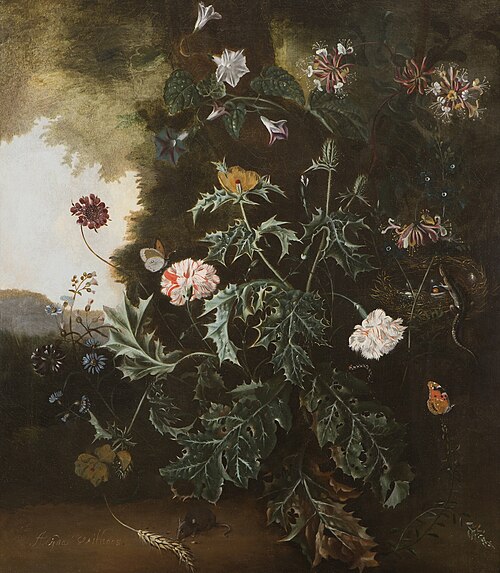 bosstilleven, 1700, Alida Withoos