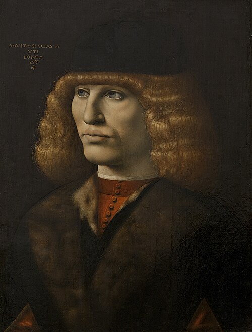 Portrait of a Young Man, 1491, Giovanni Antonio Boltraffio