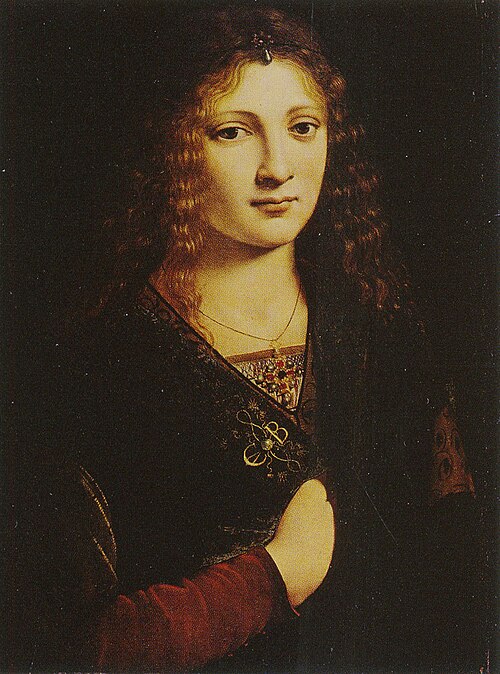 Portrait of a young man, possibly Girolamo Casio, 1500, Giovanni Antonio Boltraffio