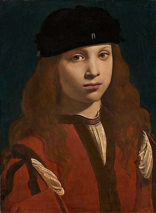 Portrait of a Youth, 1495, Giovanni Antonio Boltraffio