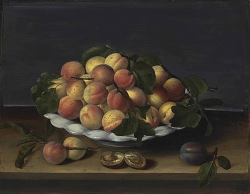 Apricots in a ceramic bowl, with plums on a stone ledge, 1631, Louise Moillon