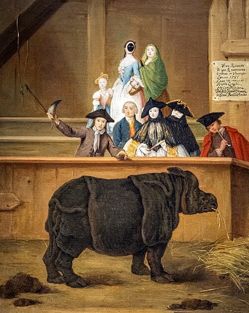 Le Rhinocéros, 1751, Pietro Longhi