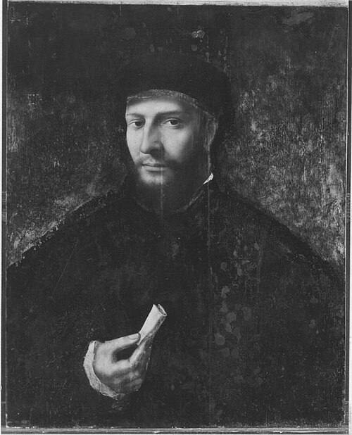 Portrait of an unknown man, 1534, Maître des demi-figures