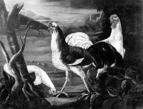 Two Roosters and a Hen, 1713, Magnus Stenbock