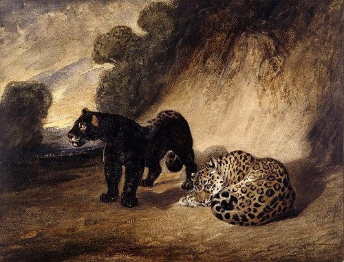 Deux Jaguars du Pérou, 1833, Antoine-Louis Barye
