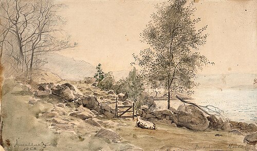 Torskeskjær, Budokken ved Skogsfjord, 1858, Amaldus Nielsen