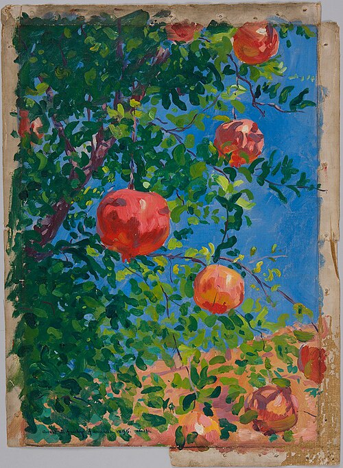Pomegranates, Granada, 1895, Robert David Gauley