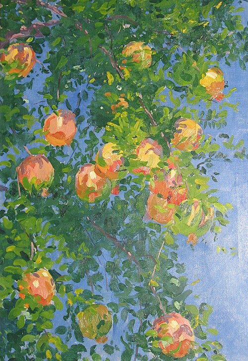 Pomegranates, Granada, 1895, Robert David Gauley