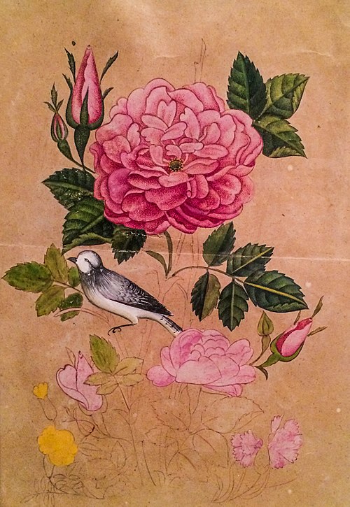 Rose and Nightingale, , Mirza Gadim Iravani