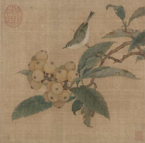 林椿枇杷山鸟图页, , Lin Chun