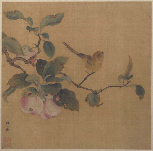 林椿果熟来禽图页, , Lin Chun