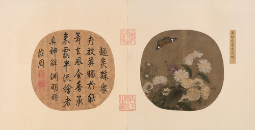 朱绍宗菊丛飞蝶图页, , Zhu Shaozong