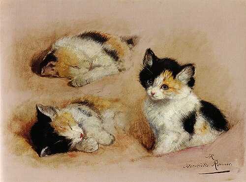 Study of awakening kitten, 1865, Henriëtte Ronner-Knip