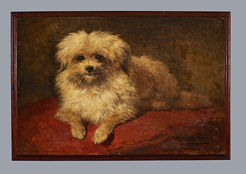 Liggend hondje, Henriëtte Ronner-Knip, 1850–1870, 1860, Henriëtte Ronner-Knip