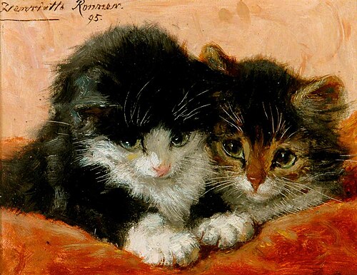 Cat Study, 1895, Henriëtte Ronner-Knip