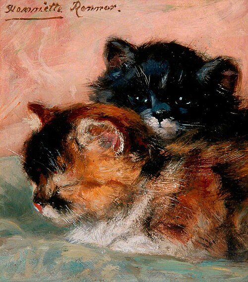 Cat Study, 1895, Henriëtte Ronner-Knip