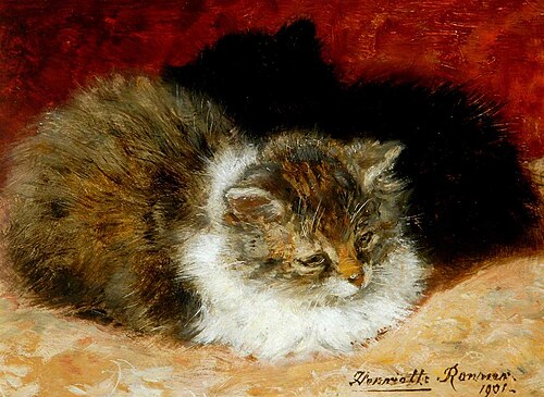 Cat Study, 1901, Henriëtte Ronner-Knip